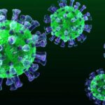 virus verde